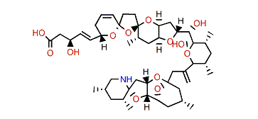 3-Hydroxy-azaspiracid